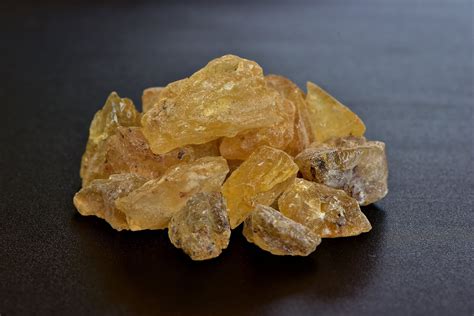 almaciga  dayungon agathis philippinensis etsy uk