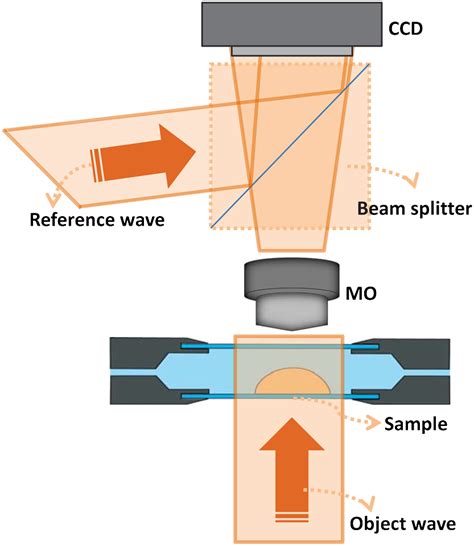 Schematic Of The Off Axis Digital Holographic Microscopy DHM