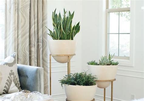 Cool Plant Stand Design Ideas For Indoor Houseplants Ecotek Green Living