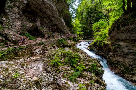 20 Beautiful Vintgar Gorge Photos To Inspire You To Visit Slovenia