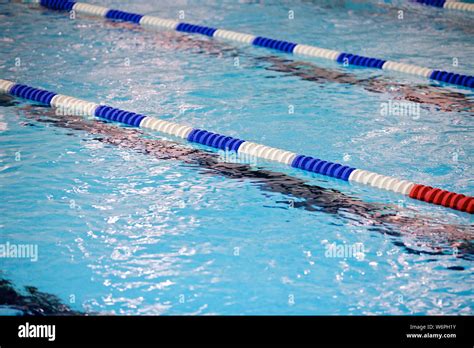 Lanes in swimming pool Stock Photo - Alamy