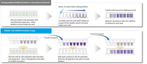 Biofilm Formation Assay Kit | NAGASE THAILAND