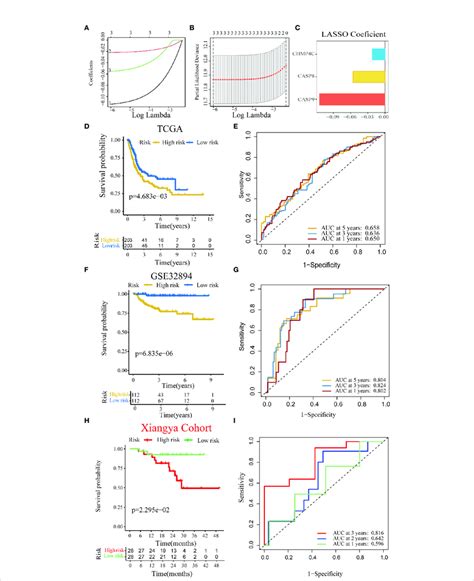 Construction And Validation Of A Pyroptosis Risk Score In The Multiple