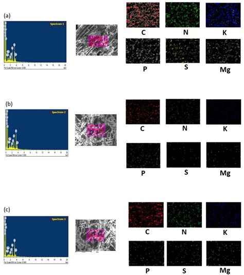 Semedx Graphs Along With Mapping In A Control B Mm Nacl And C