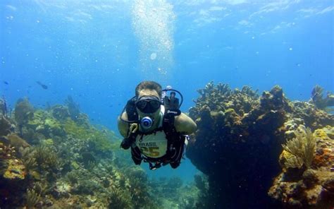 Los Mejores Lugares Para Bucear Hacer Submarinismo Y Snorkel En