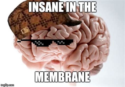 Scumbag Brain Meme Imgflip