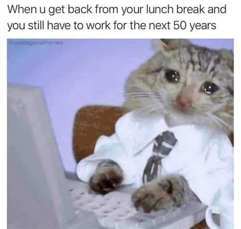 Funny Cat Meme: When Work Feels Like 50 Years