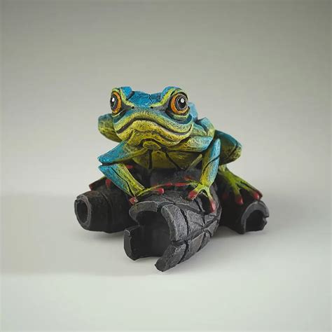 african tree frog care 5