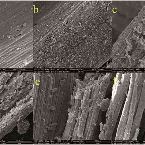 Scanning Electron Micrographs Sems Of Pre Treateduntreated Rice