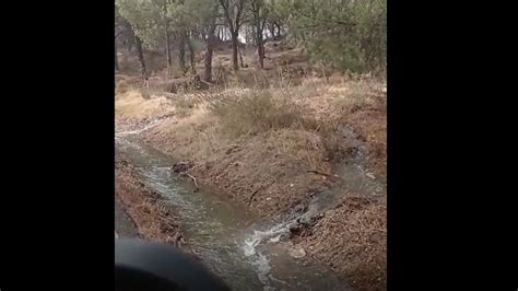 Una Aver A De Agua Afecta A Las Jaras Diario C Rdoba