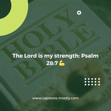 Several Bible Verses For Instagram Bio Best Fit Captions Mostly