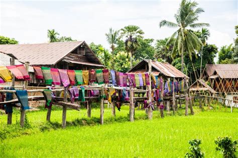 Thai Native House with Rice Field Stock Image - Image of natural, house ...