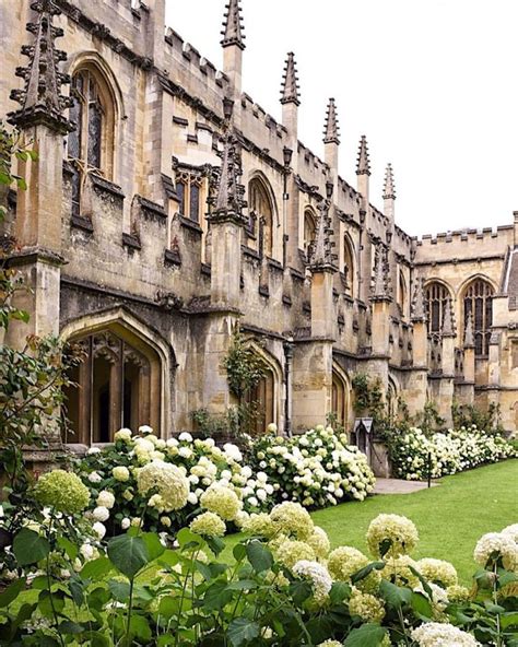 Magdalen College . Oxford | Oxford england, Travel, British architecture