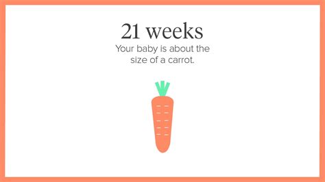 21 Weeks Pregnant: Symptoms, Tips, and More