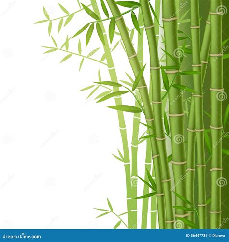 Green Bamboo Vector Illustration Stock Vector Illustration Of Grass