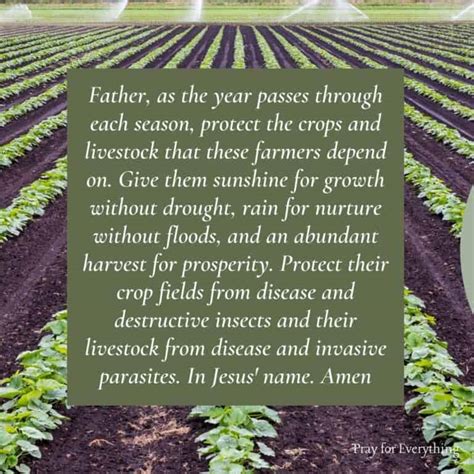 5 Powerful Prayers For Farmers