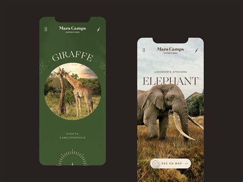 Mara Camp Safari Travel website mobile by Nataliia Dehtiarova for ...