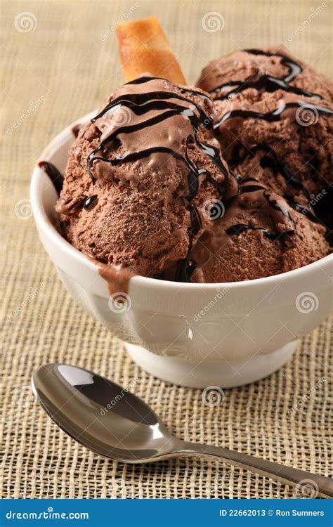 Bowl Of Chocolate Ice Cream Stock Image - Image of glass, gourmet: 22662013