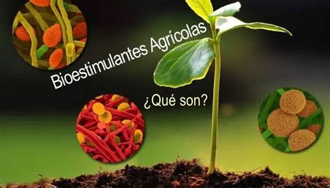 Infoagronomo Net On Twitter Los Bioestimulantes Agr Colas O Vegetales