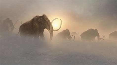 1182 best prehistoric creatures images on Pinterest