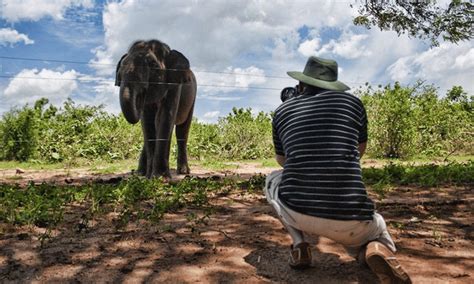 Wildlife Photography in Sri Lanka - routes.travel