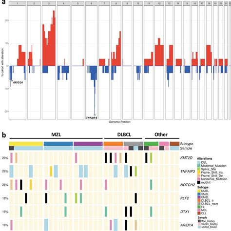 Landscape Of Somatic Alterations In Hcv Associated B Nhl A Frequency Of Download Scientific