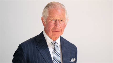 Prince Charles is “Completely Bewildered” by Prince Harry, Friend Says ...