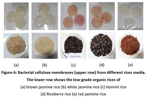 The Production Of Bacterial Cellulose From Organic Low Grade Rice