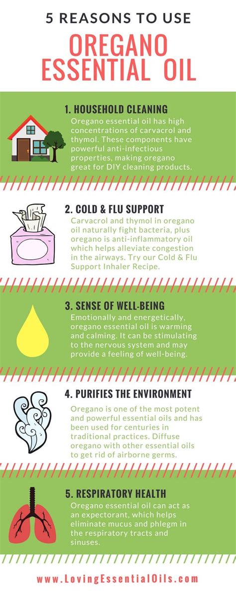 5 Reasons To Use Oregano Essential Oil By Loving Essential Oils