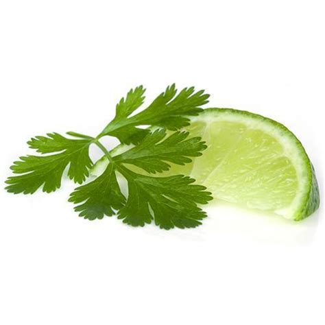 Cilantro Lime Extra Virgin Olive Oil The Marks Trading Company