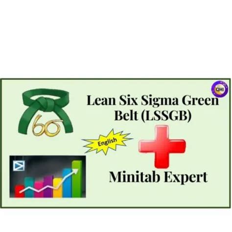 Lean Six Sigma Green Belt Lssgb Minitab English At Best Price In