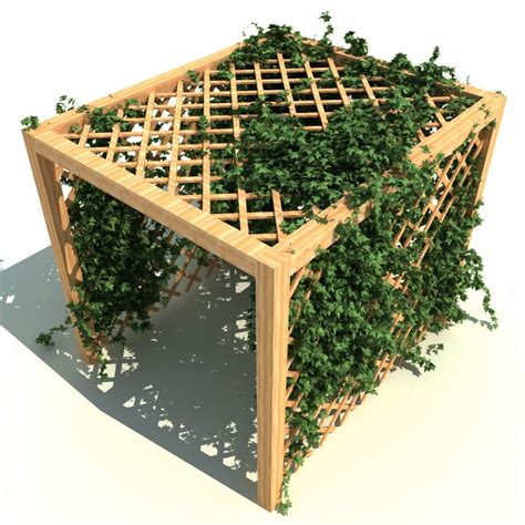 Garden Pergola With Ivy 3d Model 38 3ds C4d Lwo Max Ma Obj