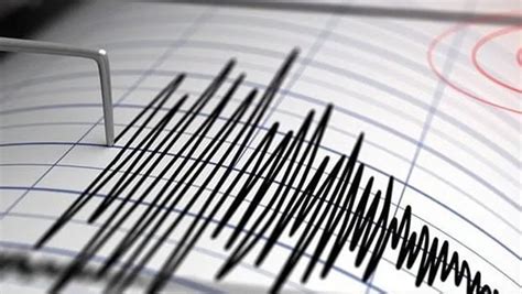 Sismo Magnitud 61 Deja Ocho Heridos Y Daños Materiales En Indonesia Grupo Milenio