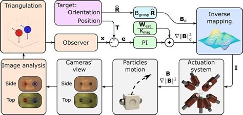 The Magnetic Microrobots With a Promising Biomedical Future