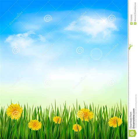 Green nature clipart 20 free Cliparts | Download images on Clipground 2024