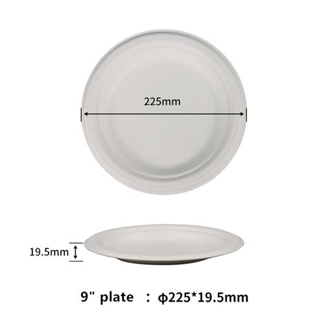 Assiette De Bagasse Jetable Cologique Et Robuste Compostable