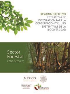 Sector Forestal Biodiversidad Mexicana Sector Forestal