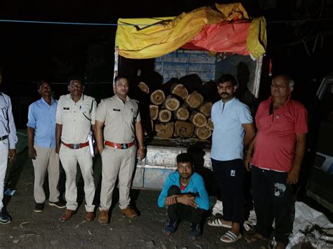 Pickup Full Of Teak Caught In The Ocean सागर में पकड़ाई सागौन से भरी