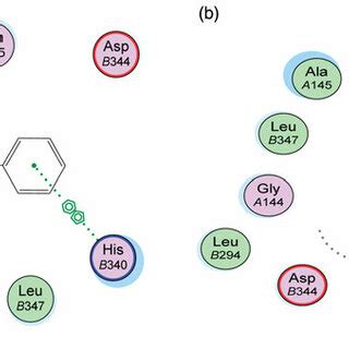 3D Binding Mode And Residues Involved In The Recognition Of Active