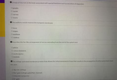 Solved Groups of neurons in the brain associated with | Chegg.com 