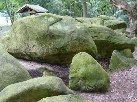 Free Images Tree Nature Forest Rock Leaf Monument Statue Green