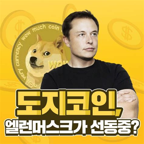 도지코인 떡상 보고 느낀점도지코인 상승이유 코박 코인 커뮤니티 가상화폐 정보 암호화폐 분석