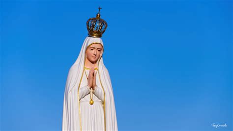 Tra Emozioni E Fede L Acccoglienza Dell Effige Della Madonna Di Fatima