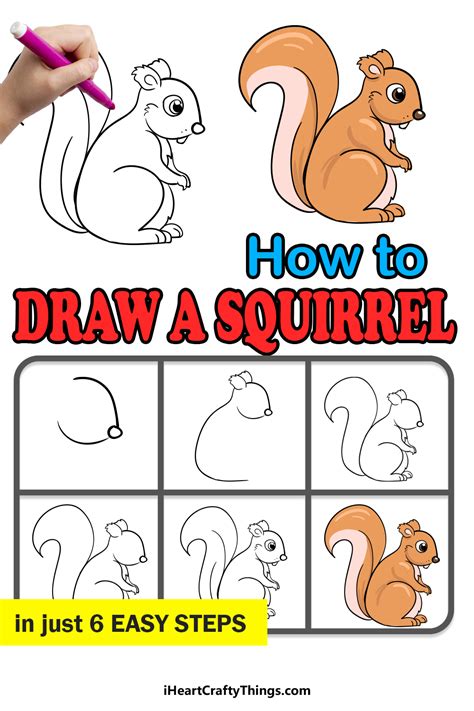 Squirrel Drawing How To Draw A Squirrel Step By Step