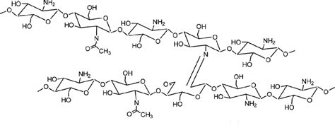 Crosslinking Reaction Between Chitosan And Dialdehyde Chitosan