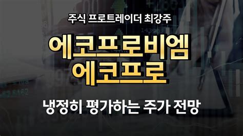 에코프로비엠 에코프로 2차전지 섹터에 대한 냉정한 평가 에코프로비엠 에코프로의 주가의 미래는 YouTube