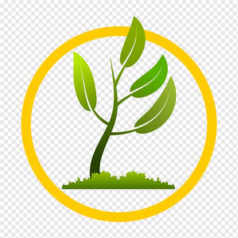 Plant Tree Pruning Growing Up Healthily Food Leaf Logo Png Pngwing