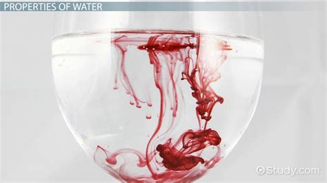 Why is Water the Universal Solvent? - Video & Lesson Transcript | Study.com