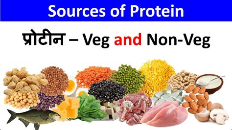 Sources Of Protein High Protein Vegetarian And Non Vegetarian Food Protein प्रोटीन Youtube