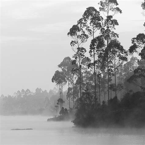 The Fisherman on Behance
